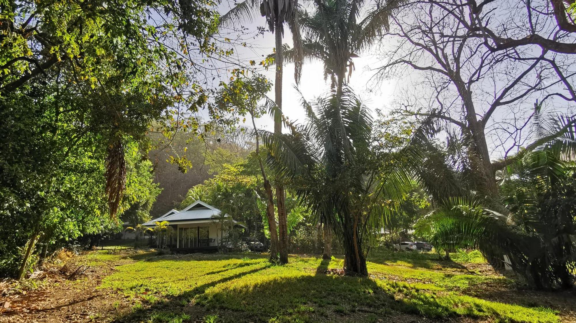 Armadillo Eco Bungalows - Santa Teresa Playa Santa Teresa  Eksteriør bilde