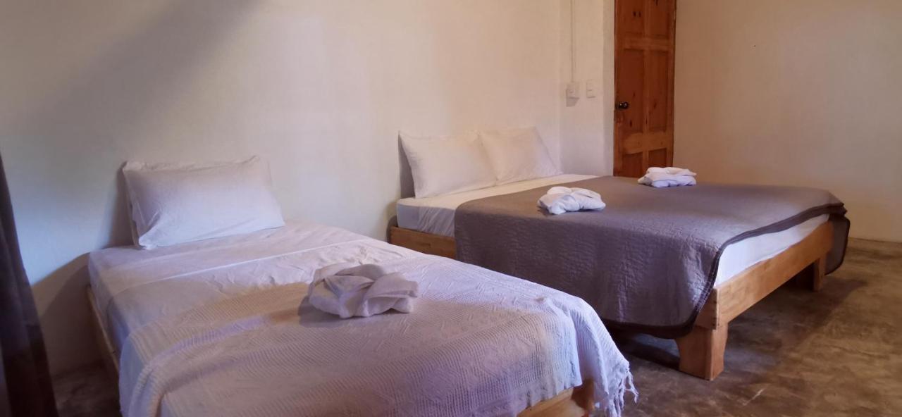 Armadillo Eco Bungalows - Santa Teresa Playa Santa Teresa  Eksteriør bilde