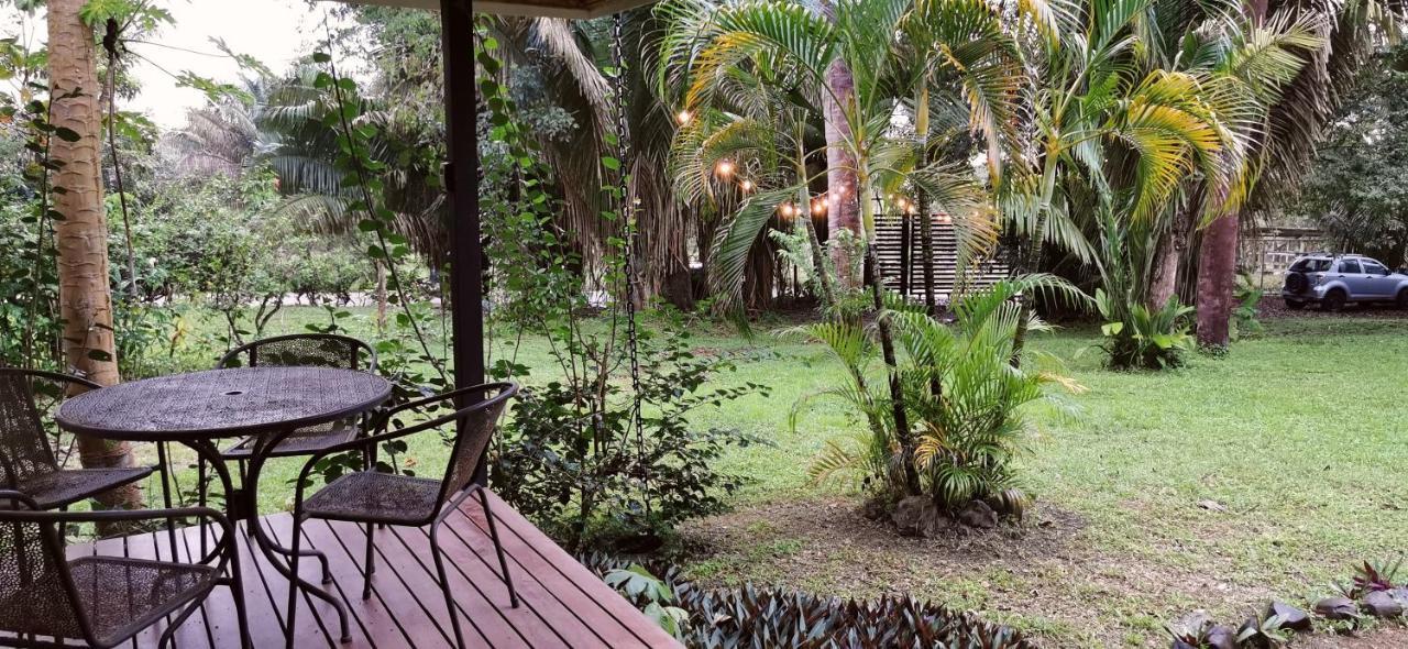 Armadillo Eco Bungalows - Santa Teresa Playa Santa Teresa  Eksteriør bilde