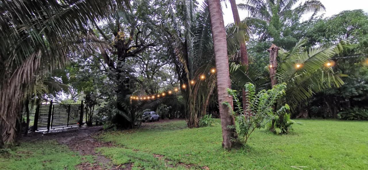 Armadillo Eco Bungalows - Santa Teresa Playa Santa Teresa  Eksteriør bilde
