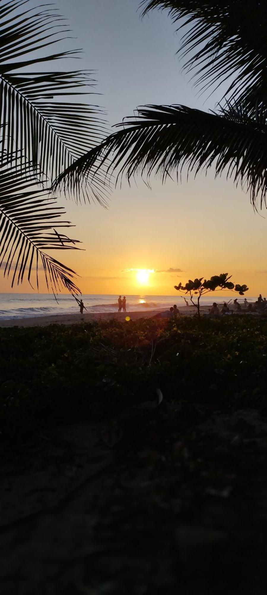 Armadillo Eco Bungalows - Santa Teresa Playa Santa Teresa  Eksteriør bilde