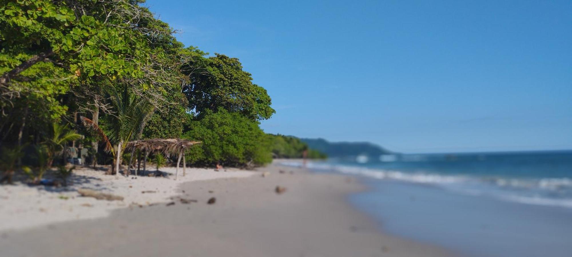 Armadillo Eco Bungalows - Santa Teresa Playa Santa Teresa  Eksteriør bilde