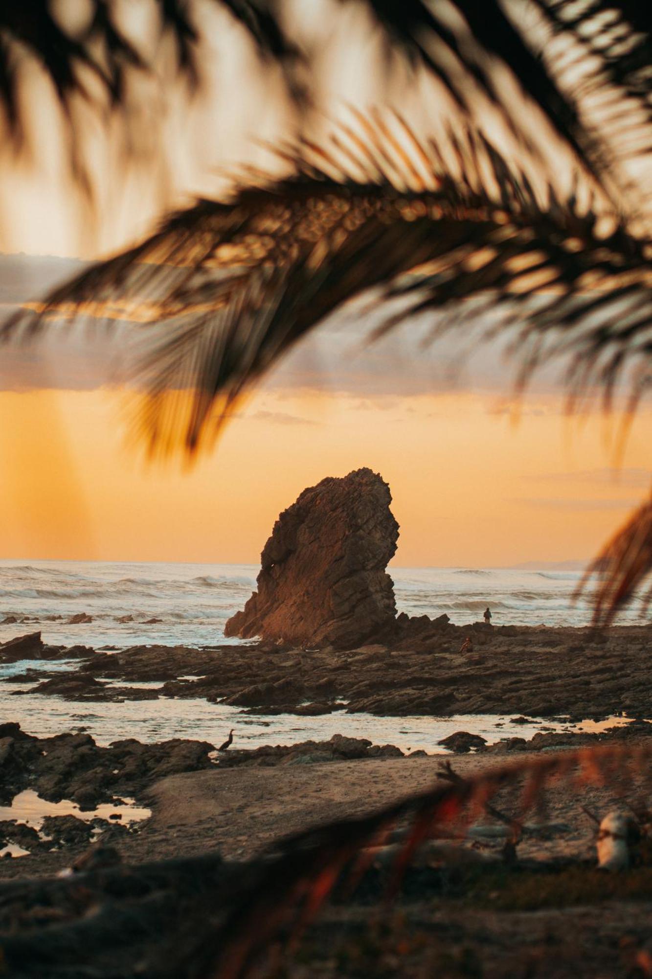Armadillo Eco Bungalows - Santa Teresa Playa Santa Teresa  Eksteriør bilde